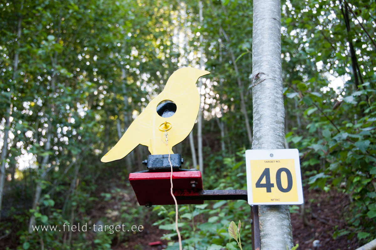 New morning. Fresh Targets